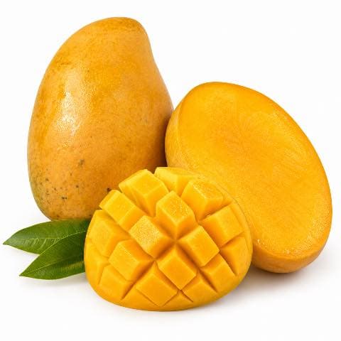 Xoài mủ chín cây
